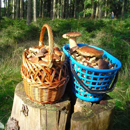 Apartment Mika Tessin